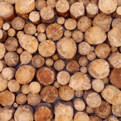 Holz Duftöl & Saunaöl