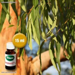 Saunaaufguss Saunaduft Wilder Eucalyptus 15 ml