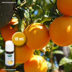 Saunaaufguss Saunaduft ätherische Öle Bio Orange 10 ml