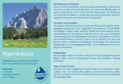 Spitzner Saunaaufguss Alpenkräuter