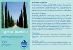 Spitzner Saunaaufguss Cypresse-Rosmarin